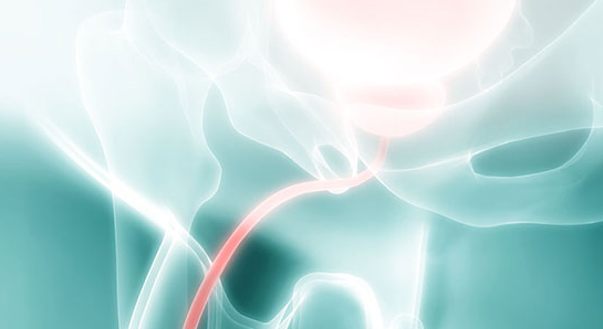 Urology Center